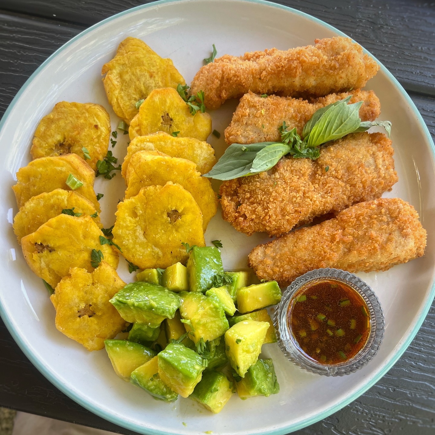 Bonsai gallery image 1