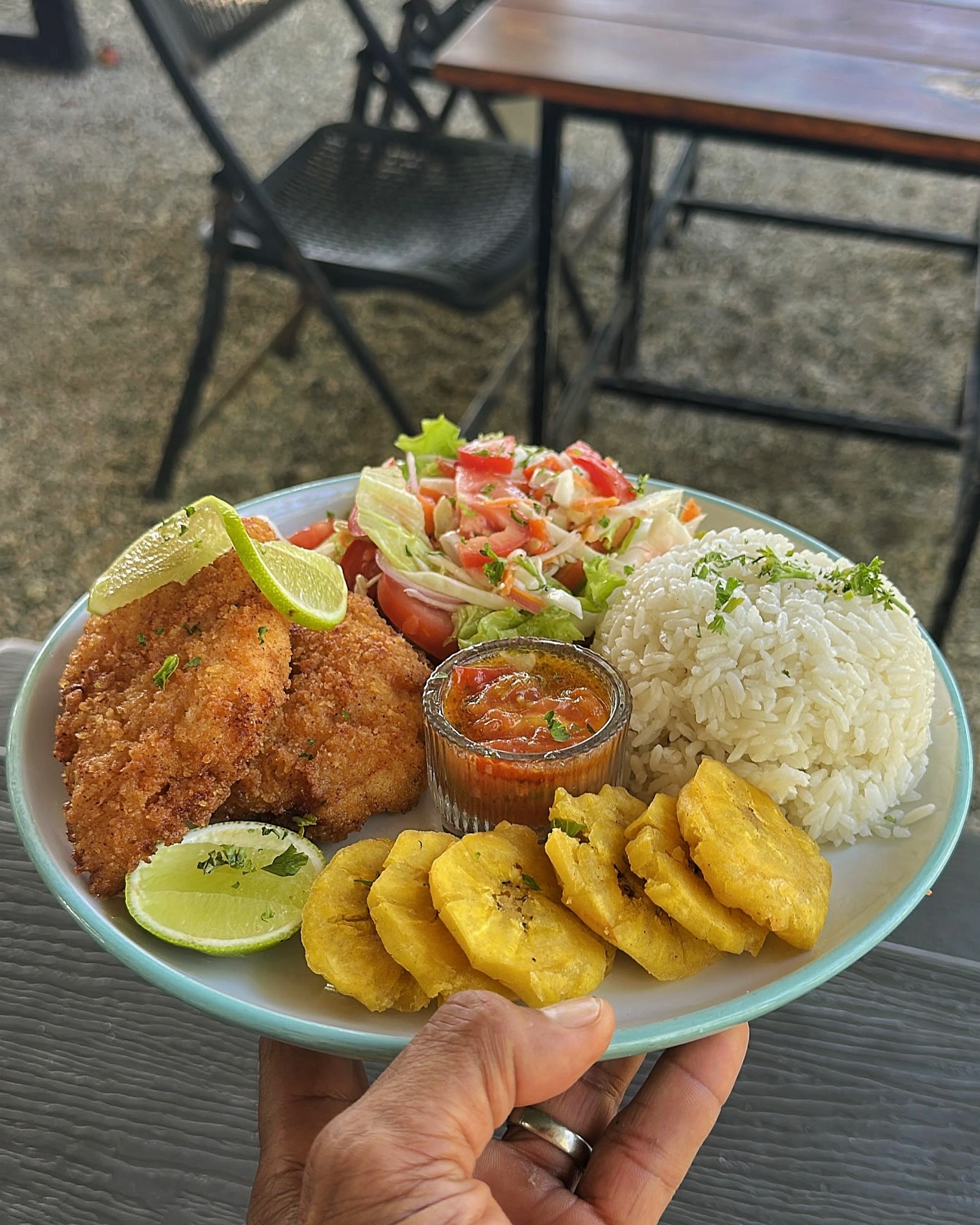 Bonsai gallery image 3