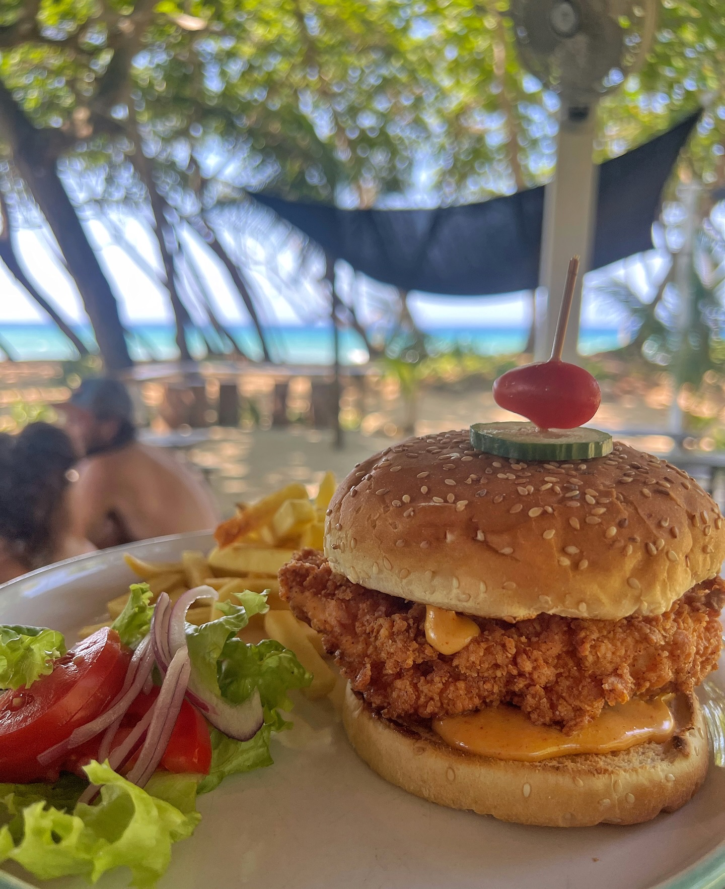 Bonsai gallery image 4