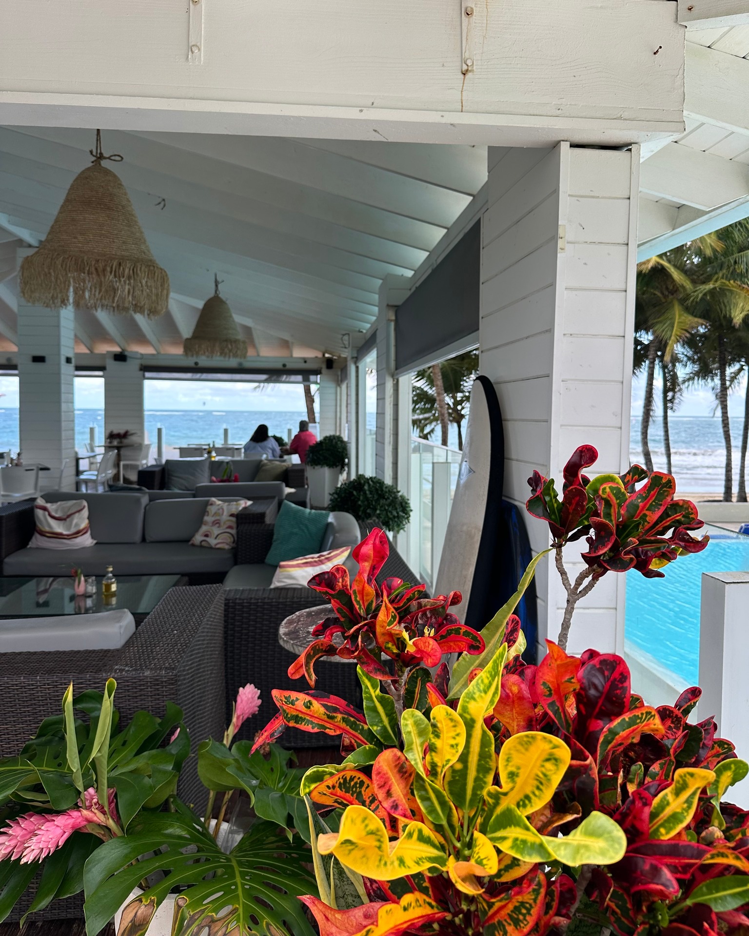 Yalla gallery image 6